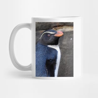 Fiordland Penguin Mug